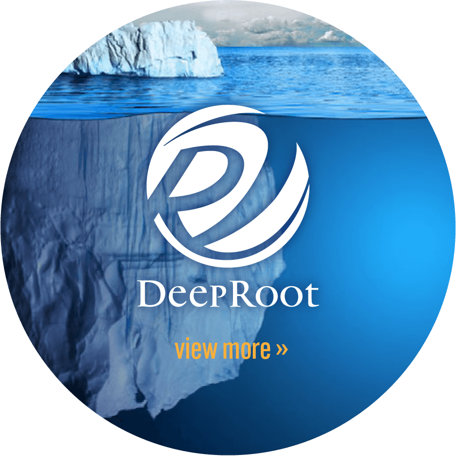 DeepRoot | ディープルート